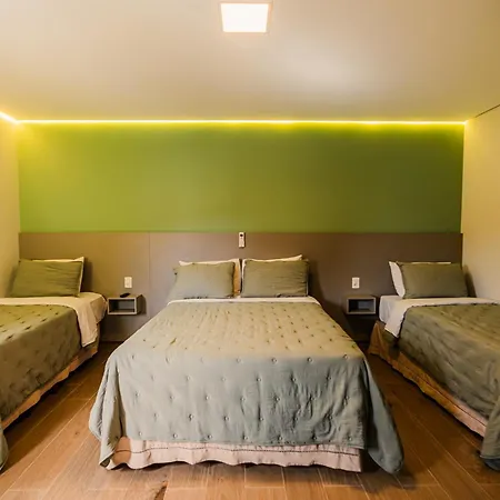 Hotel Oly Plaza-3